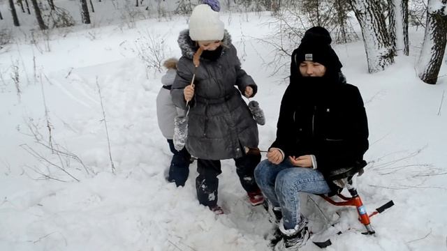 Идем с детьми в поход - прогулку. Рождество в лесу. Всё завалило снегом. Январь 2017 смотреть онлайн