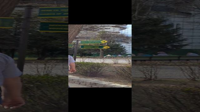 Свято Троицкая Сергиева Лавра. Сергиев Посад. смотреть онлайн