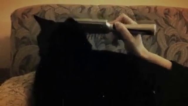 Brushie brushie смотреть онлайн