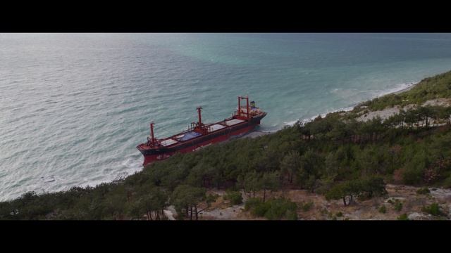 глазами птиц