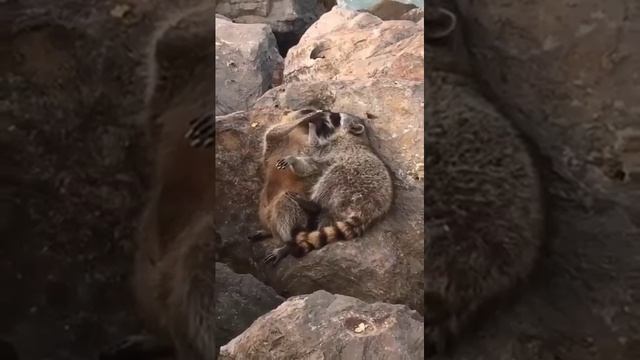 Свидание у моря смотреть онлайн