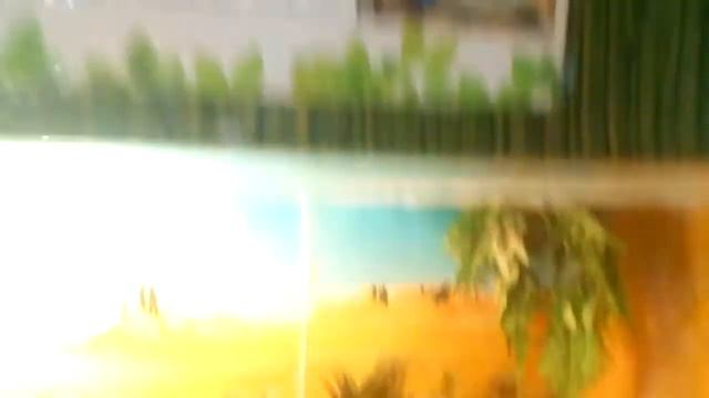 Джунгли Парк,3Д, часть 2. Морская свинка, змеи, енот, 3Д картины, огромные пауки, черепаха смотреть онлайн