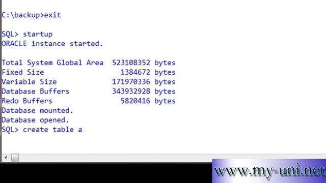 Oracle DBA, Recover a datafile from a cold backup1e9 смотреть онлайн