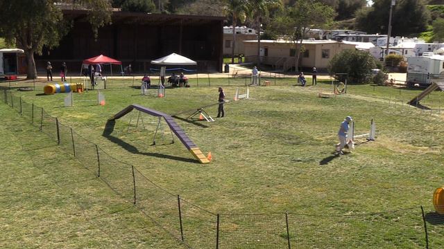 Olivia Open Standard 2 28 21 смотреть онлайн