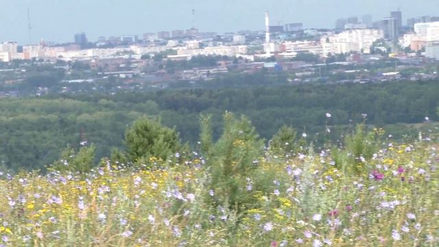 До Люллинской Жемчужины смотреть онлайн
