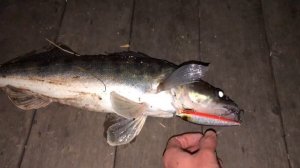 ВОБЛЕРЫ 110 размера для ЛОВЛИ НОЧНОГО СУДАКА