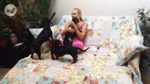 ? ? ? ^ ЧТО ЛУЧШЕ ОДНОЙ ТАКСЫ? ТОЛЬКО ТРИ ТАКСЫ!