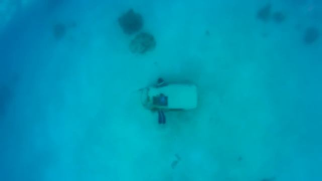 Swimming with SHARKS! Overcoming Fear! смотреть онлайн