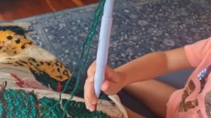 ТАФТИНГ / КОВРОВАЯ ВЫШИВКА