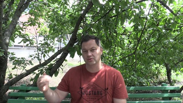 Выполнение своей программы (что значит программа человека) - Лабиринты Знаний смотреть онлайн
