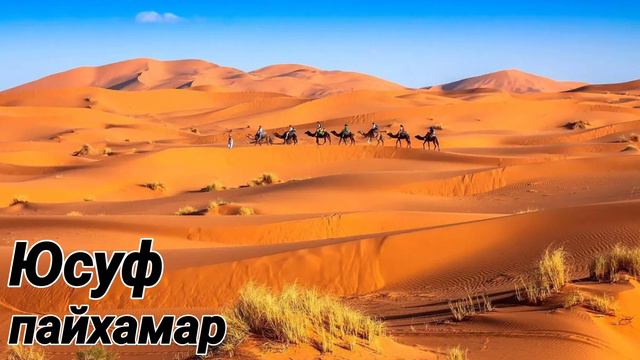 Шейх Яхья | Юсуф Пайхамарах ﷺ лаьцна хьехам. смотреть онлайн