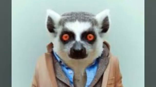 Месяца в виде животных, кто же ты? смотреть онлайн