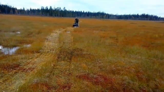 Паксус гранд по болоту летом смотреть онлайн