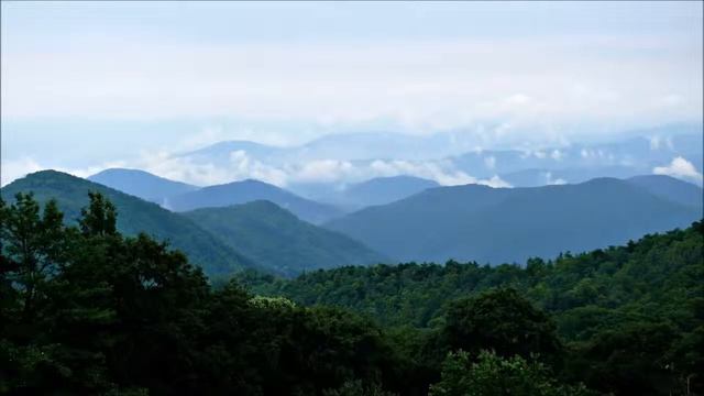 «Цикада в глубине гор» Cicada in the depth of mountains Alexandr Iwashin, shakuh смотреть онлайн
