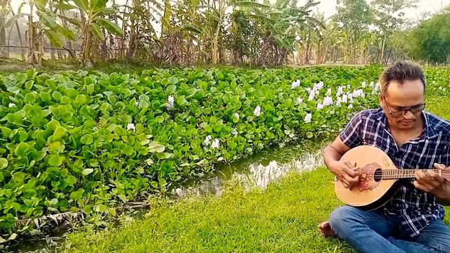 # Mandolen # Musics *নাই টেলিফোন নাই পিয়ন নাইরে টেলিগ্রাম বন্ধুর কাছে মনের খবর কেমনে পৌঁছাইতাম *