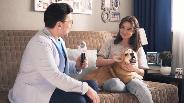 Барс от блох и клещей для собак смотреть онлайн