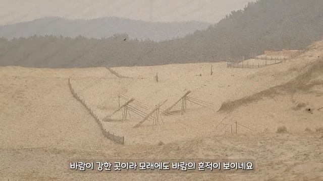 ? 해변 전체가 천연기념물! 바람이 만든 이국적인 바다 트레킹 코스! | ? 당일치기 여행 추천코스 3 | The largest sand dune trekking in Kore смотреть онлайн