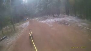 Доберман  - злой убийца.