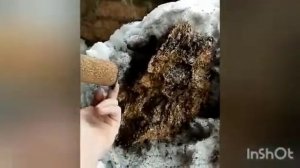 Промывка МОТОРА 406 ГАЗЕЛИ. ЛАВР проверка. Делюсь ЛАЙФХАКАМИ.