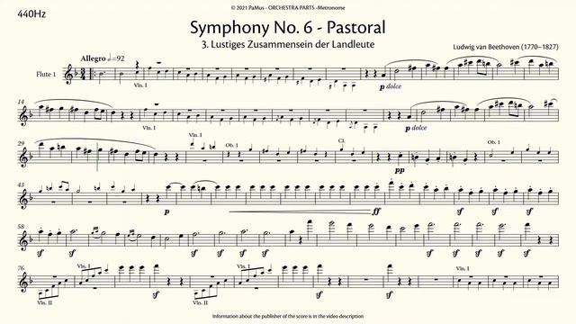 Ludwig van Beethoven: Symphony No. 6, Pastoral 3rd movement, FLUTE 1 accompaniment 440Hz смотреть онлайн