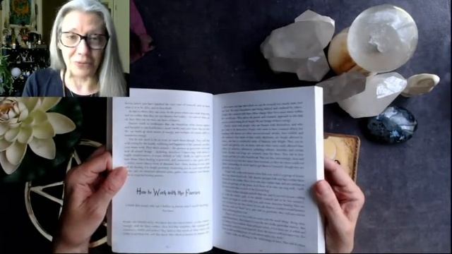 Unboxing: Wild Wisdom of the Faery Oracle смотреть онлайн