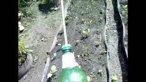 Технология внесение отравы от медведки и результат