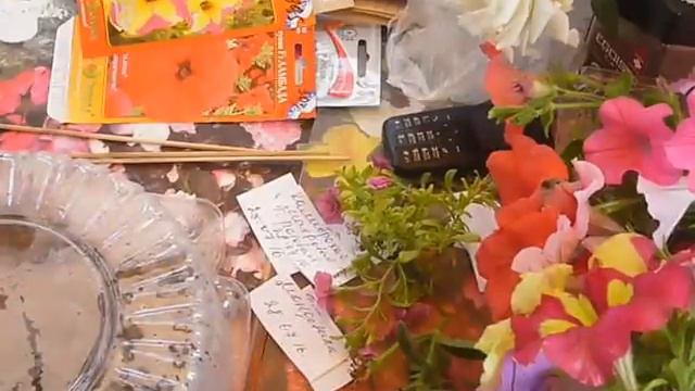 черенкуем петунии смотреть онлайн