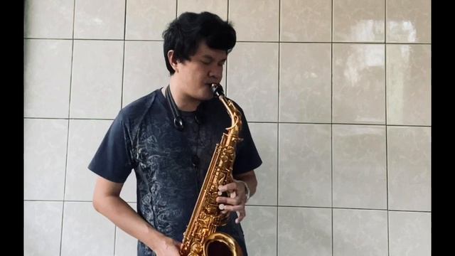 Binibini - Alto Saxophone Cover | WindBerns смотреть онлайн