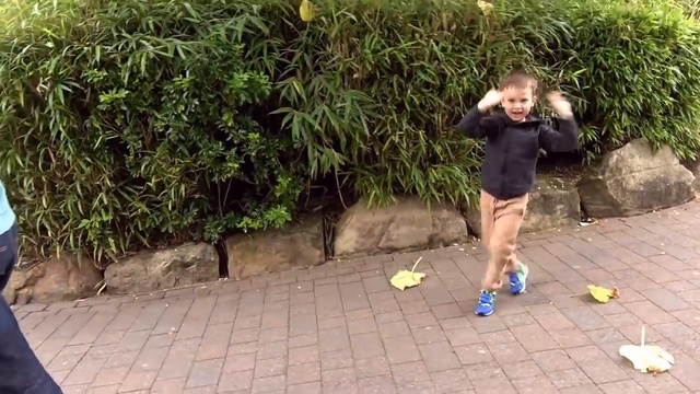 ВЛОГ Завтрак в отеле Жарим тосты и купаемся в бассейне в водном парке Alton Towe смотреть онлайн