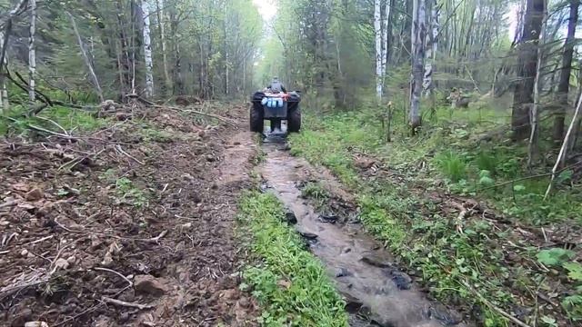 Тайга. Кишкотряс. Долгая дорога. Часть 1. смотреть онлайн