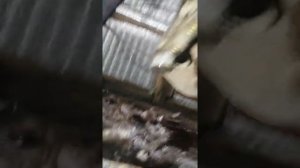 Ваз 2107 меняем сайлентблоки передней подвески за 2 часа)))