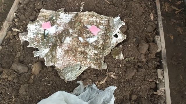 Видео привет с 6 соток 17 ноября 2022 смотреть онлайн