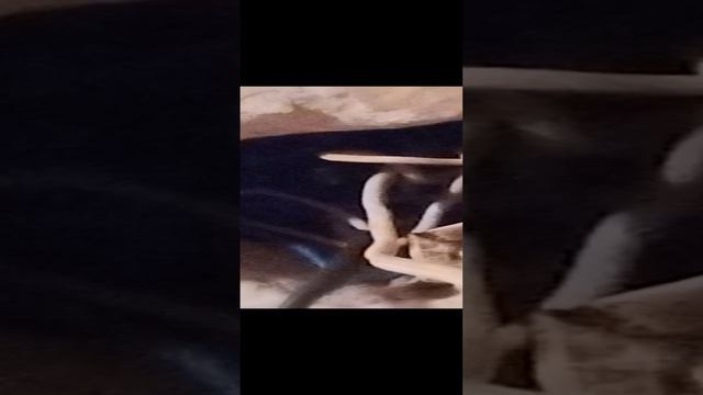 VID_20240608_111456 смотреть онлайн