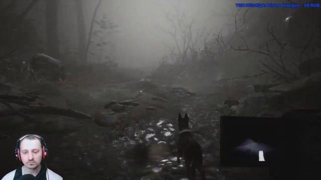[Ночные Посиделки] Blair Witch - #7 - Песика жалко :'( смотреть онлайн