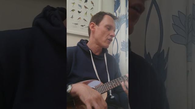 For What It's Worth (ukulele cover) смотреть онлайн