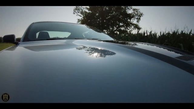 Ford Mustang Shelby GT350 | GALLERY AALDERING TV смотреть онлайн