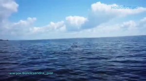 Широка река