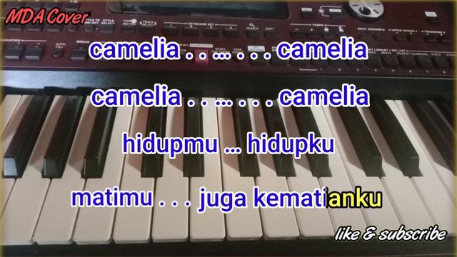 CAMELIA - H RHOMA IRAMA | KARAOKE DANGDUT ORIGINAL VERSI MANUAL ORGEN TUNGGAL ( LIRIK KARAOKE) смотреть онлайн