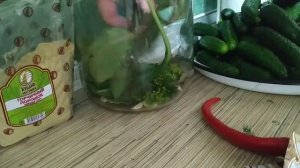 Солим огурцы с горчичным порошком