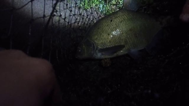 Петровичское водохранилище. Рыбалка в Беларуси. смотреть онлайн