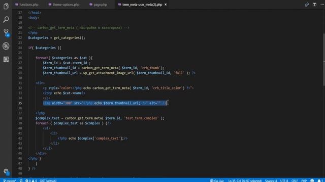Работа с плагином CARBON FIELDS #3 - Простые примеры работы с Term Meta и User Meta за 5 минут. смотреть онлайн