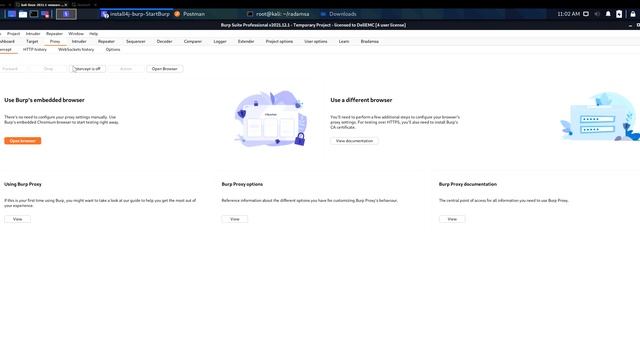 REST API fuzzing with Burp Suite and Radamsa смотреть онлайн