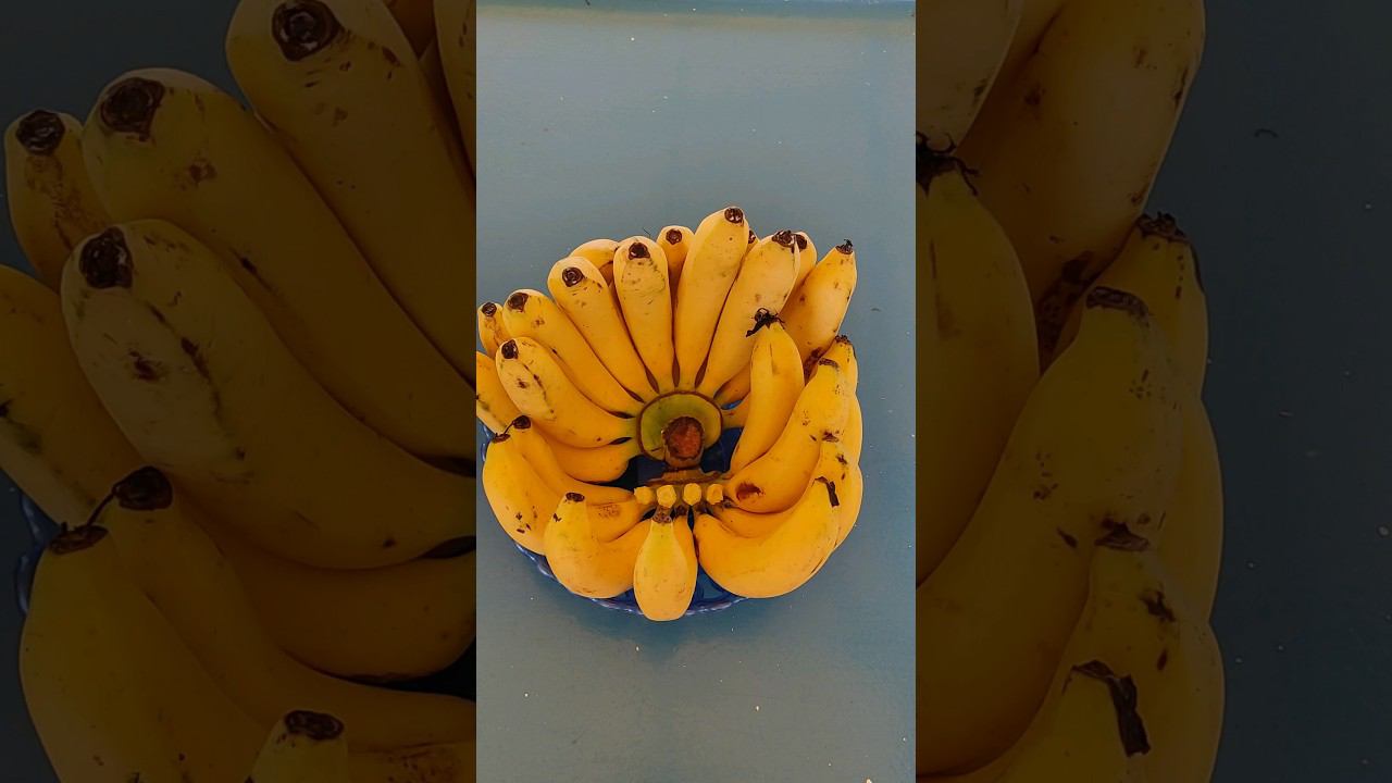 Завтрак на корабле экскурсия Джеймс Бонд. Таиланд 2024 за 50 тысяч рублей с перелетом@tutsi-dieti смотреть онлайн