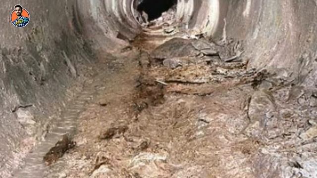 CHANNEL TUNNEL | Euro Tunnel | World's Largest Under Sea Tunnel | Malayalam Documentary | Rafi Live