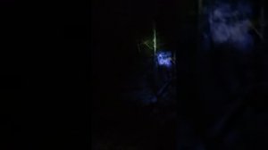 Ночная рыбалка. Боуфишинг с арбалетом «Скаут»