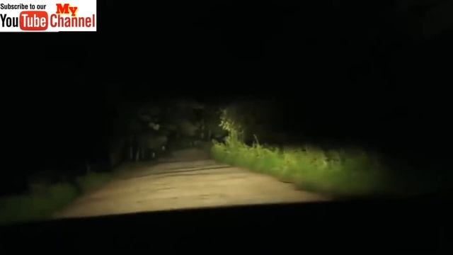 Cluj Napoca Romania - Purisrar stories -Urdu Documentaries 2018 смотреть онлайн