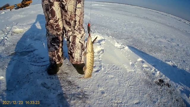 Рыбалка! щука на махалку. Рыбалка на Амуре на хапугу 2021 смотреть онлайн