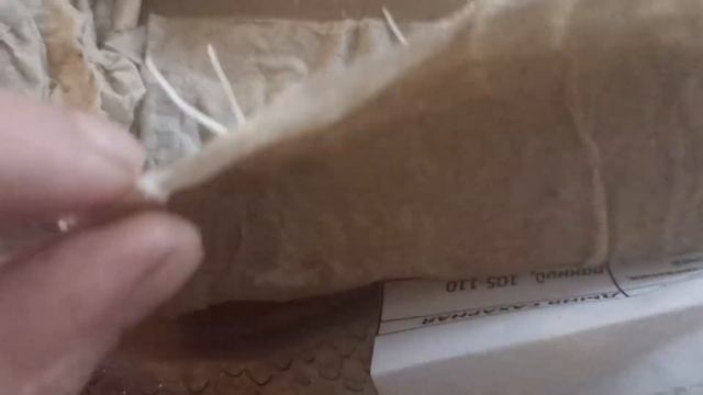 Начало прорастания семян. Дыни готовы к посадке. арбузы ещё ждём. смотреть онлайн