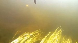 Подводная охота в Карелии. Река Кепа.