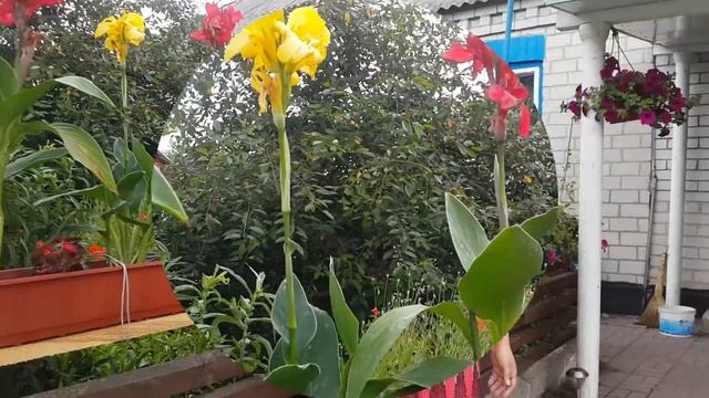 Край дитинства смотреть онлайн